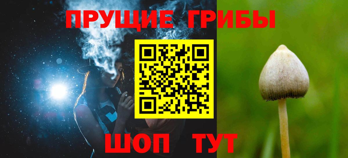 Псилоцибиновые грибы ЛСД  Вход с VPN  Псилоцибиновые грибы Cubensis  Малгобек 